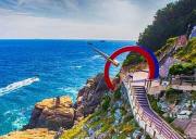 釜山 SEA LIFE 水族馆：与海洋生物近距离互动，开启奇幻海底探索之旅