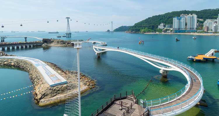 釜山金海机场接送机服务：高效直达，告别排队，舒适出行