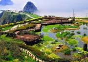 五六岛・五六岛skywalk