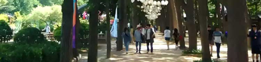 未标题-1ddasf 未标题-1ddasf