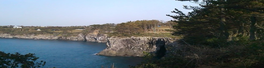 未标题-1