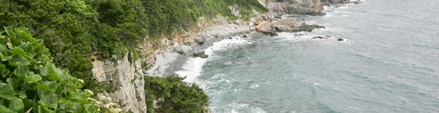 未标题-3aFFV 未标题-3aFFV