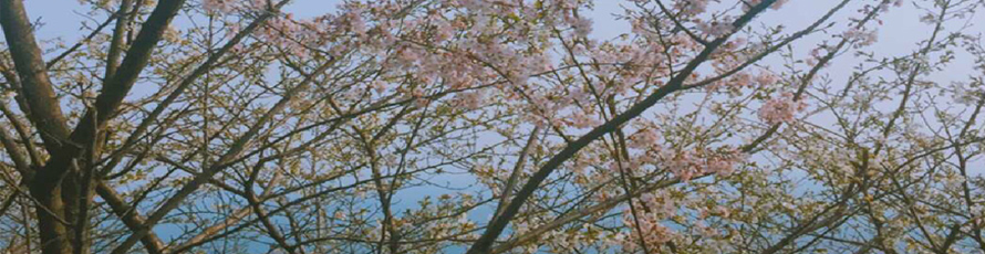 未标题-1ddsac