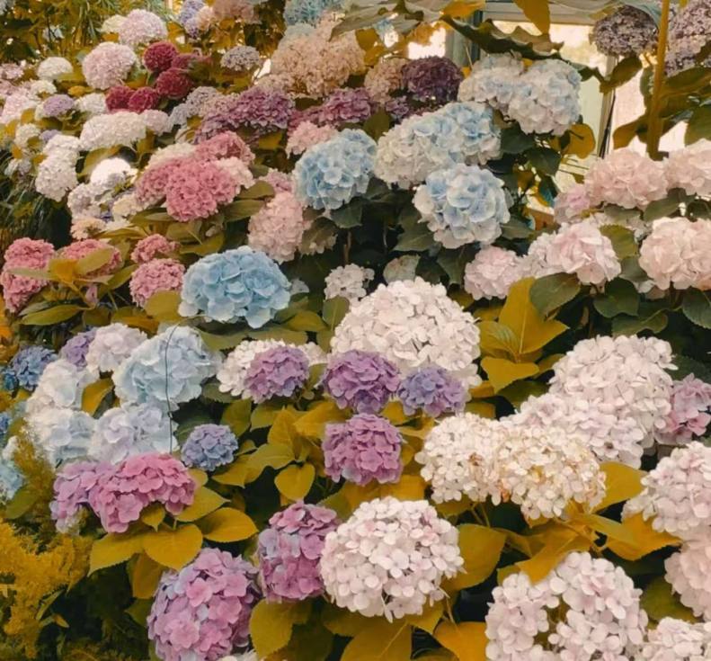 45cbaff8eace7ccdcc5100abec22542d